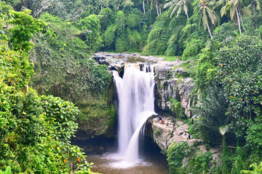 Ubud Kintamani Tour